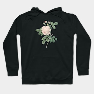 White Rose Flower Vintage Botanical Illustration Hoodie